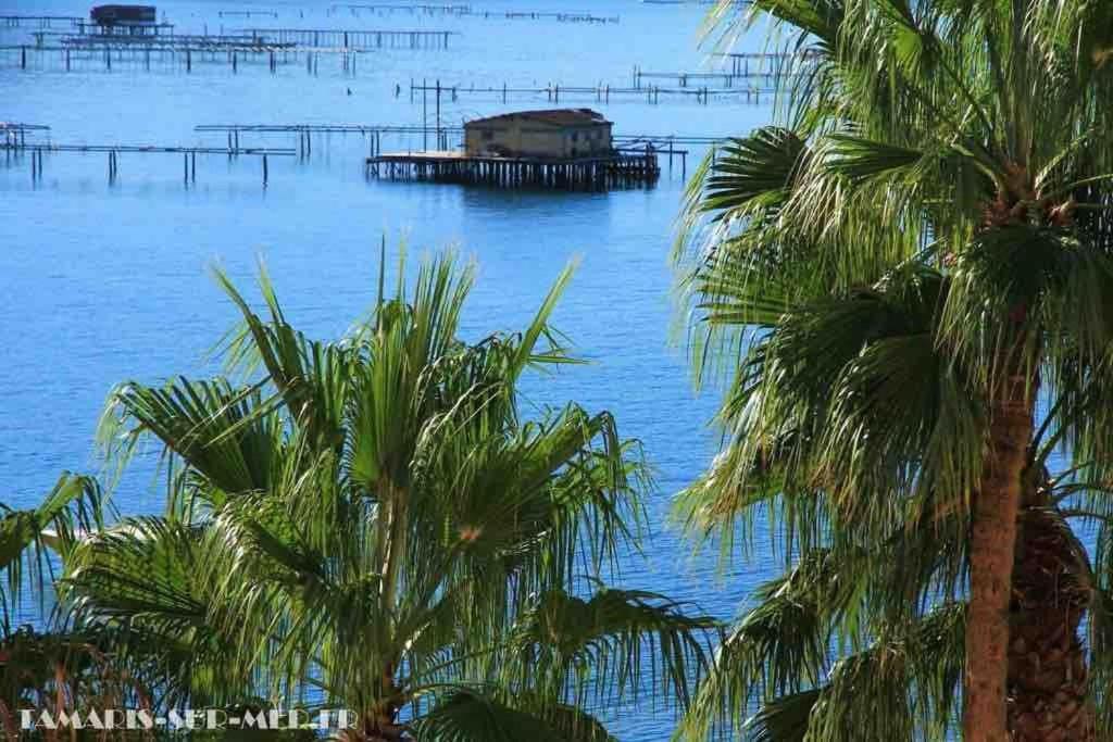 Les Pieds Dans L'Eau Apartment La Seyne-sur-Mer Exterior photo